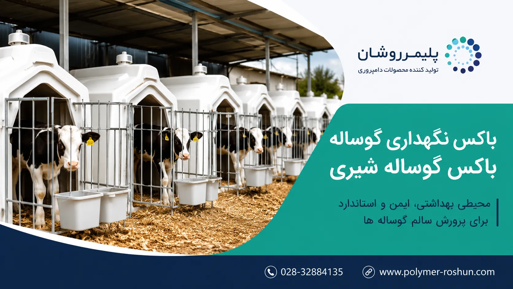 باکس نگهداری گوساله