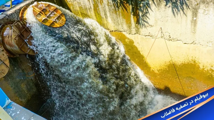 بیوفیلم در تصفیه فاضلاب