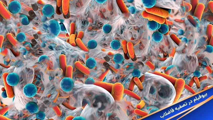 بیوفیلم در تصفیه فاضلاب