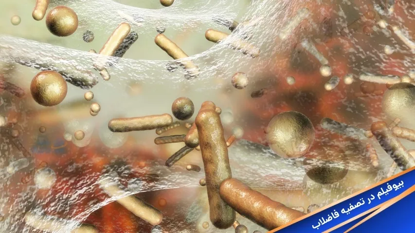 بیوفیلم در تصفیه فاضلاب